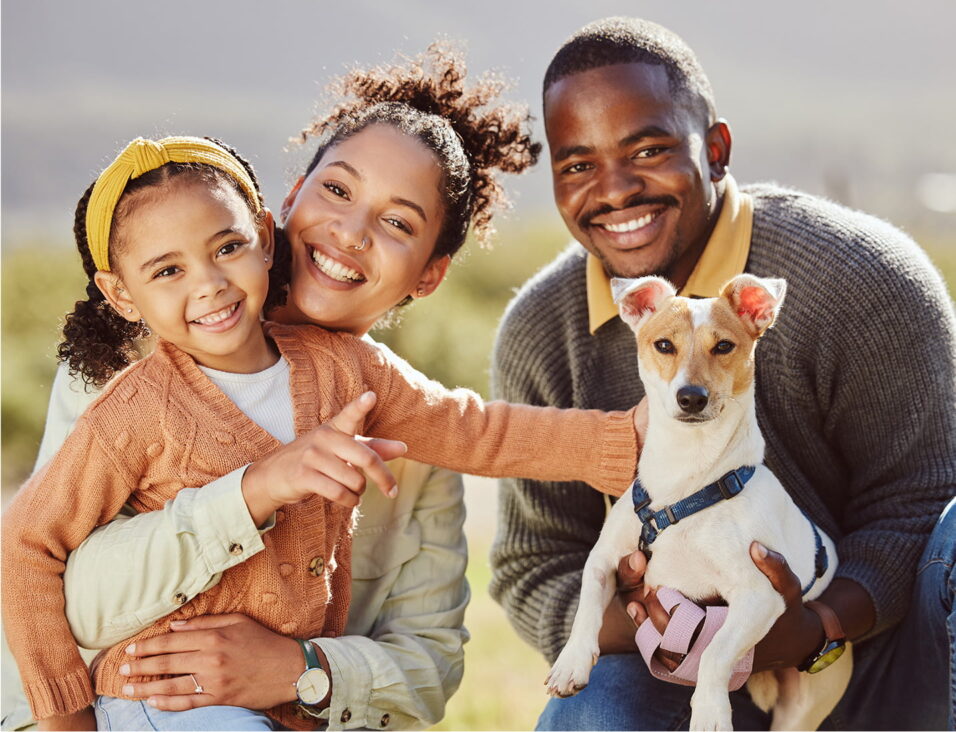 Houses For Rent In Alachua, FL The Domains